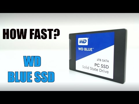 Should You Upgrade To An SSD? - WD BLUE SSD