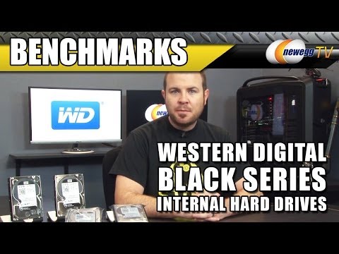 WD BLACK SERIES 7200 RPM 3.5&quot; Internal Hard Drive Overview &amp; Benchmarks - Newegg TV