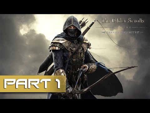The Elder Scrolls Online Review   Is This Any Good Now  - 51