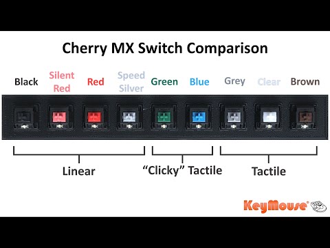 Cherry Red Vs Brown Vs Blue    Which Is Better For You  - 87