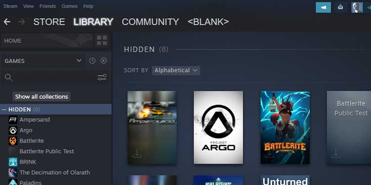 How to See Hidden Games on Steam