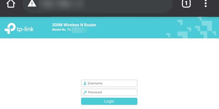 IP address via Browser