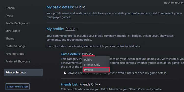 Privacy Settings on Steam