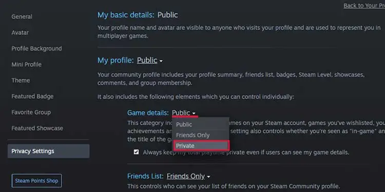 How to View Hidden Games on Steam 8 Privacy-Settings-on-Steam