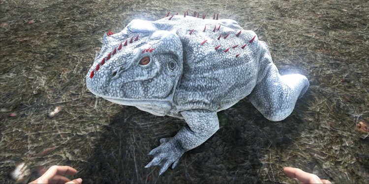 tame Beelzebufo in ark-survival