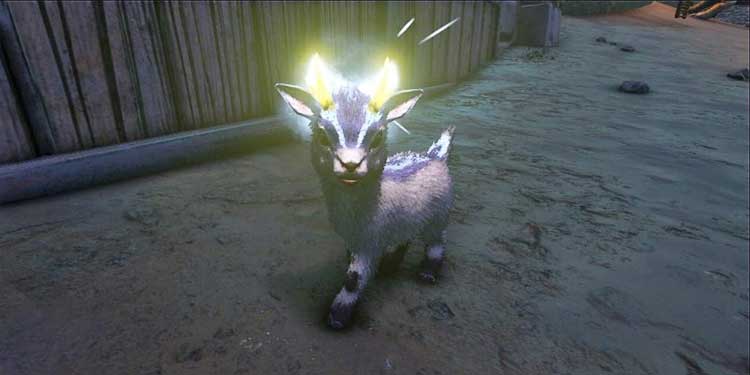 tame shinehorn in ark survival