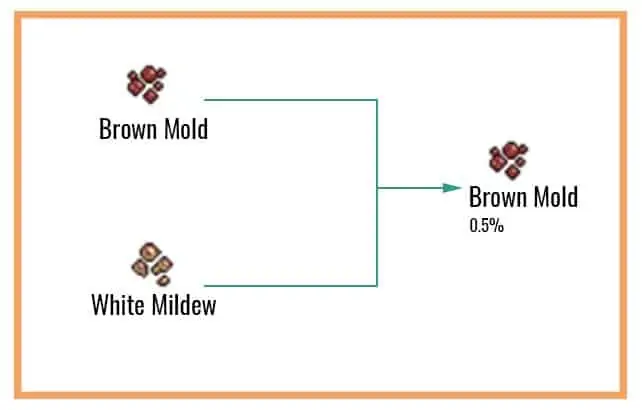 Cookie Clicker Garden Guide to Unlocking Every Seed 53 Brown-Mold-Chart