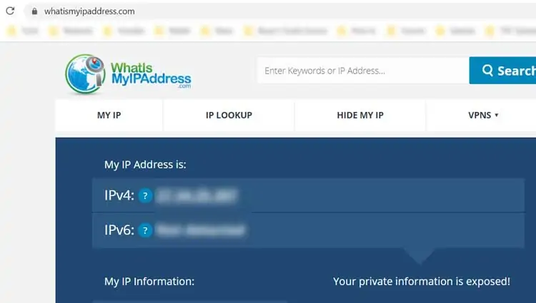 How to Make an ARK Server Under 15 Minutes 15 Check-Public-IP