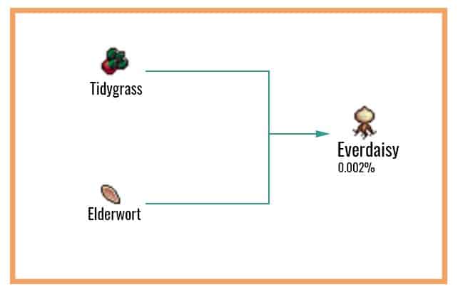 Everdaisy Chart