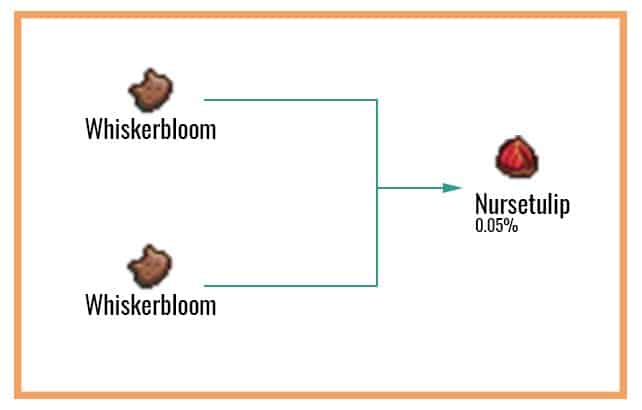 Nursetulip Chart