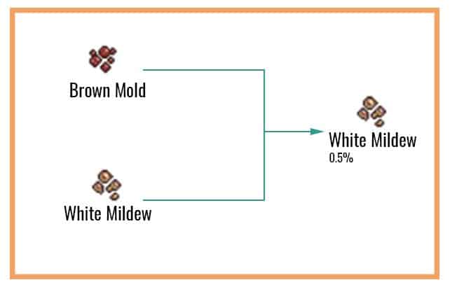 White Mildew Chart