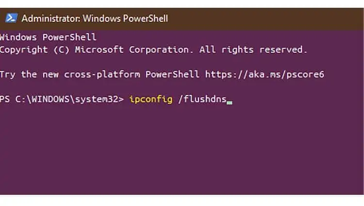 Why Is My Ping So High (With Quick Fixes) 11 flushdns