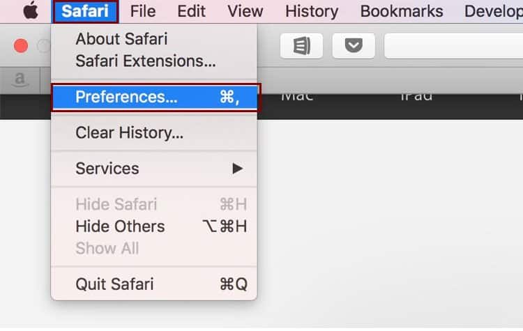 safari-preferences