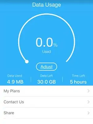 Data-Usage-Iphone