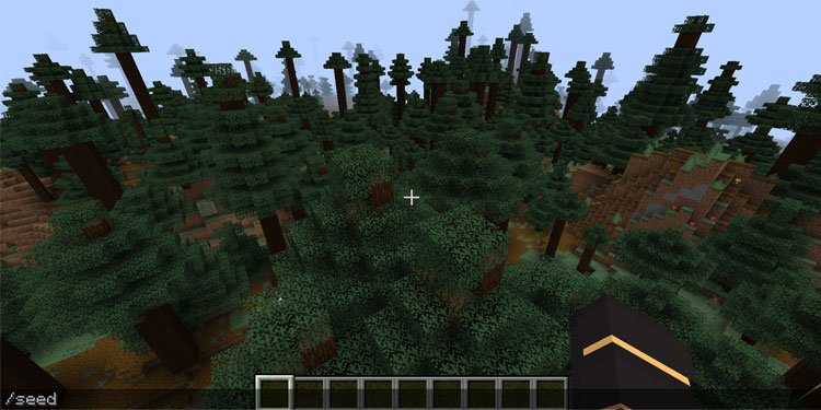 Find Seed in Minecraft