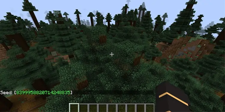 How to Find the Seed of a Minecraft Server