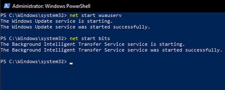 Net Start Services