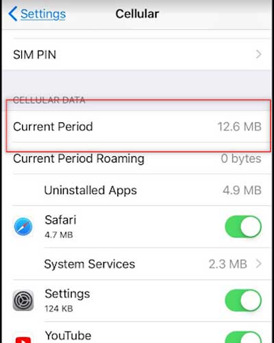 Wifi Usage iPhone