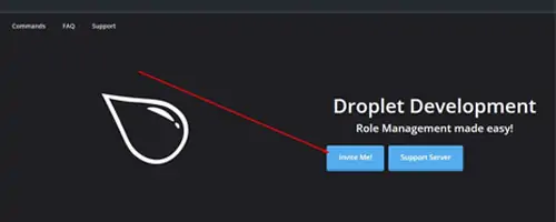 How to Make Reaction Roles on Discord 76 invite-me