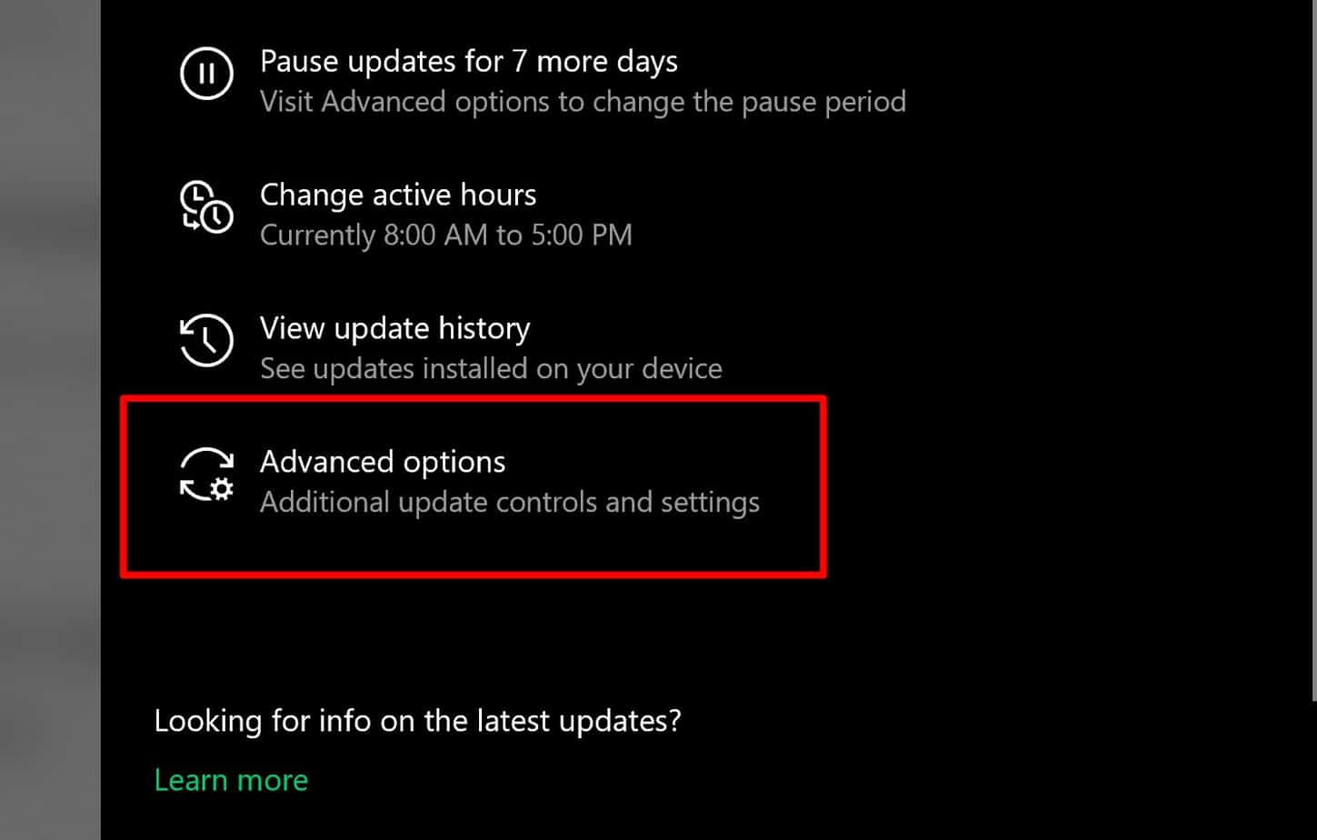 Advanced Update Options