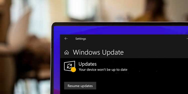 Windows Update Not Working