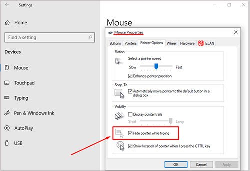 hide-pointer-while-typing