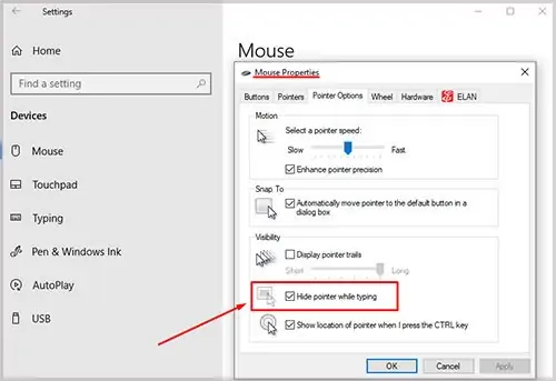 hide-pointer-while-typing-1