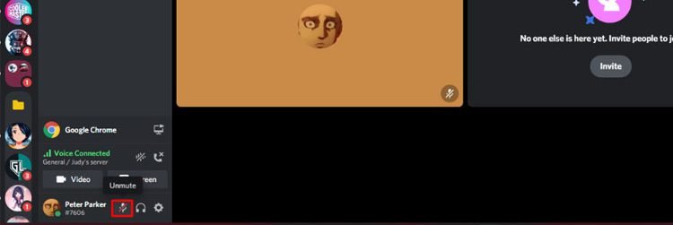 How To Stream Movies On Discord Without Black Screen - 6