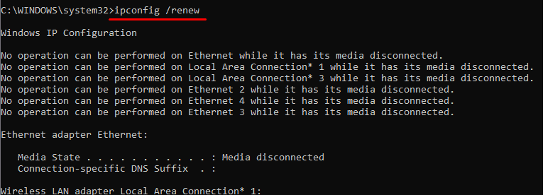 ip renew