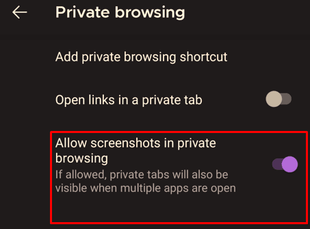 mozilla private browsing