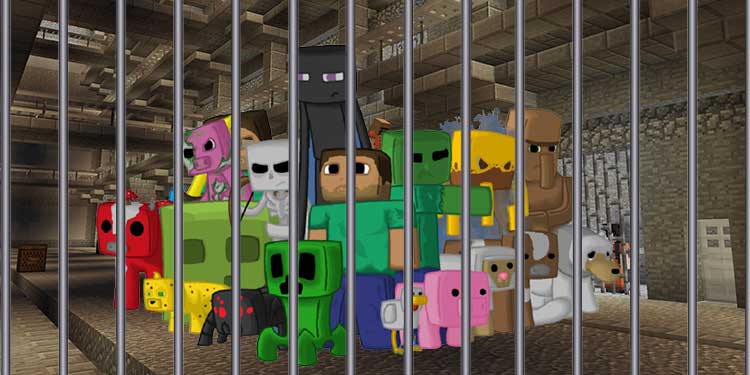 How to Unban Someone In Minecraft? - Tech News Today