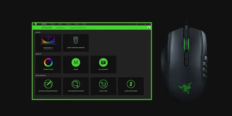 Razer Synapse Won’t Open [Fixed]