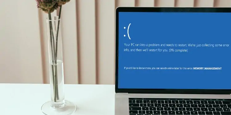 Windows Memory Management BSOD Error (11 Easy Fixes)