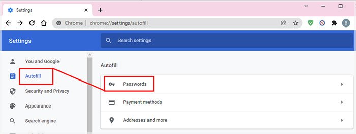 autofill-password