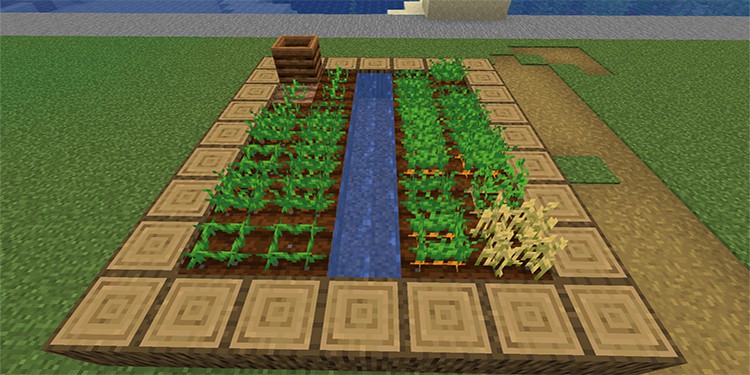 35 Things To Do in Minecraft 19 Start Farming