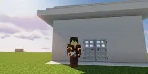 How To Make And Use An Iron Door In Minecraft?