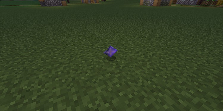 35 Things To Do in Minecraft 12 Collect Rare Items