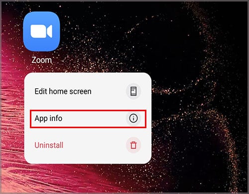 zoom-appinfo