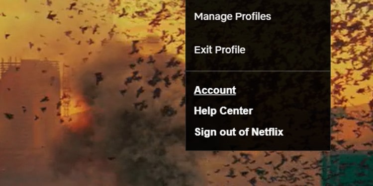 account netflix