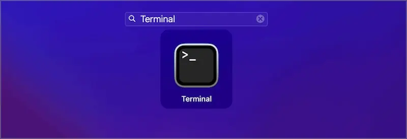 open-terminal