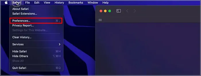 Why Can't I Copy and Paste? How Do I Fix It 32 safari-preference