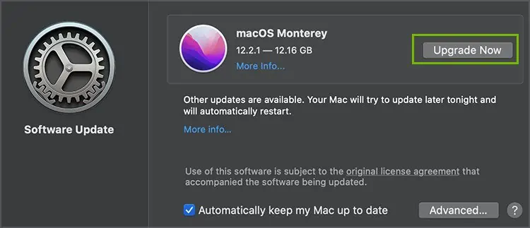 upgrade-now