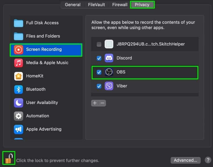 Allow Screen Recording Access