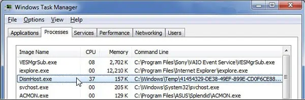 Dismhost.exe_