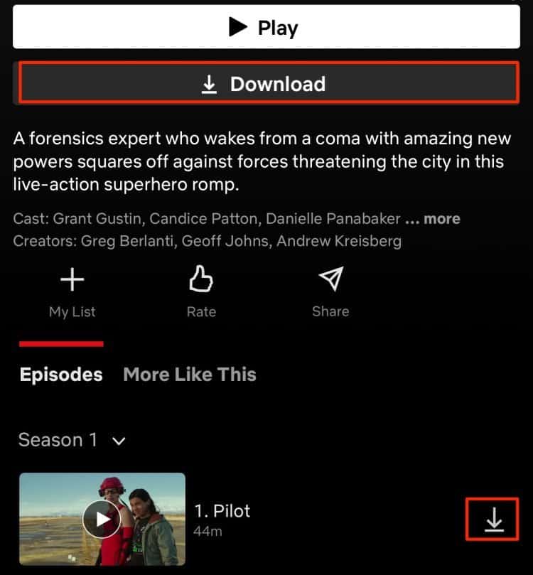 Download Netflix Movie