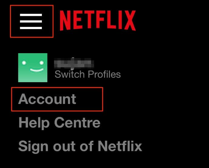 Edit Account Settings Netflix Mobile