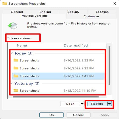 Restore Folder Version Pop Up Box