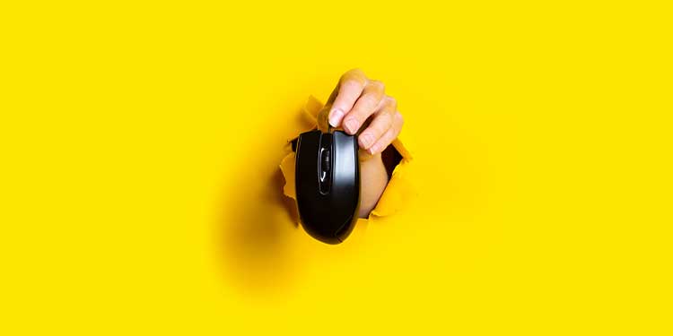 USB Mouse Not Working