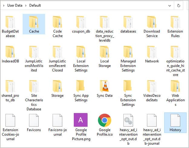 cache and history folders