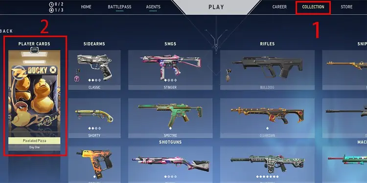 collection-tab